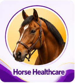 Horse Healthcare